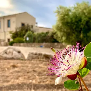 Pantanelli Di Vendicari *** Casa Maccari